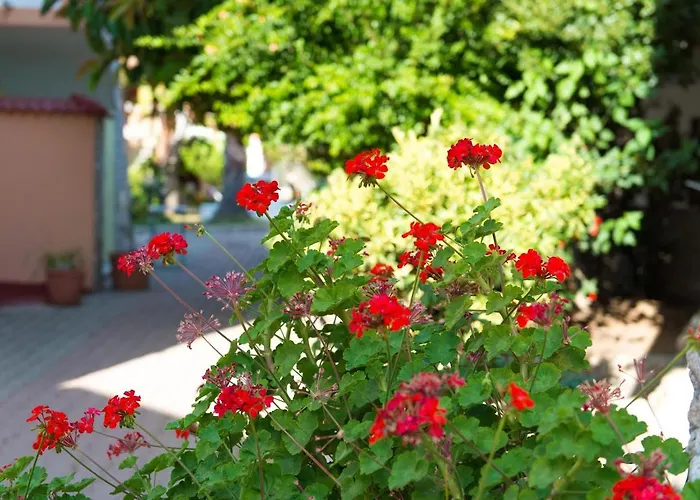 Resort San Domenico